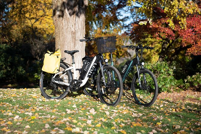 Ebike Rentals in Kelowna - Summary of Rental Highlights