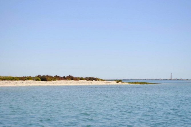 Eco Boat Tour in the Ria Formosa Lagoon From Faro - Sustainable Practices