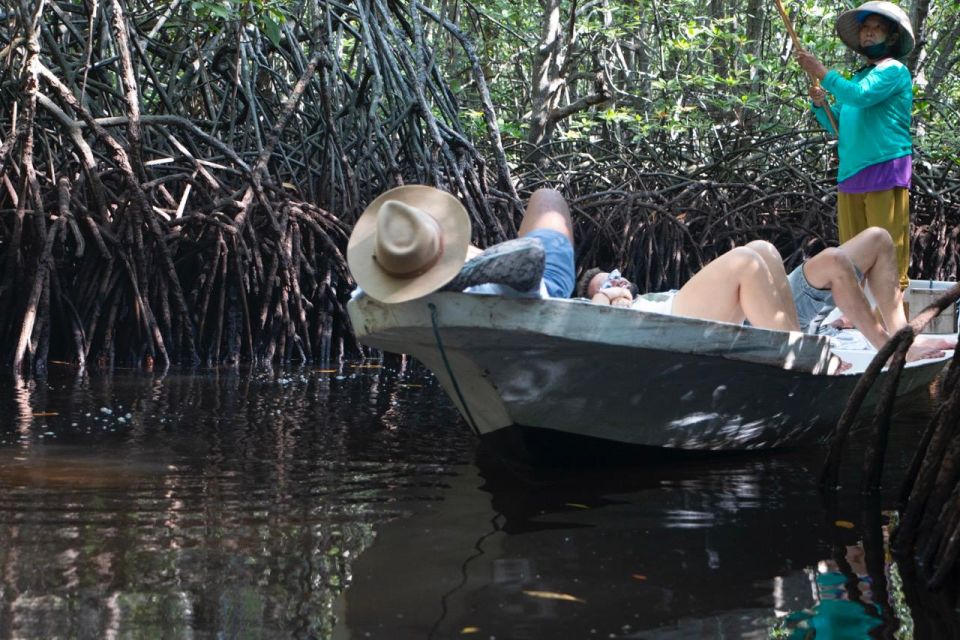 Ecotourism: Mangrove Reforestation & Tour - Sustainable Preservation Efforts
