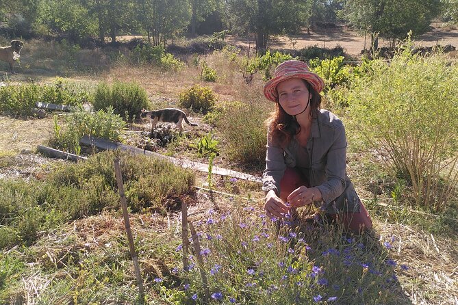 Educational Visit of a Certified Organic Micro Farm in Trancoso - Farm Visit Experience Highlights