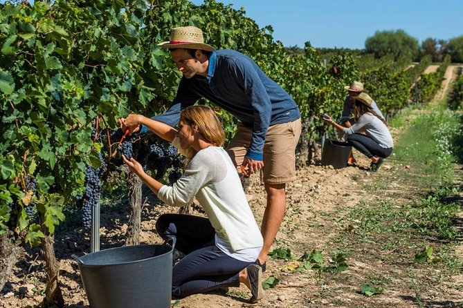 El Penedès Hike & Wine. Premium Small Group Tour From Barcelona - Safety Guidelines
