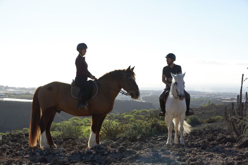 El Salobre: Horse Riding Adventure With Transfer Options - Directions