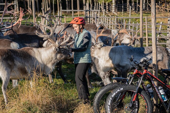 Electric Fatbike Trip to the Reindeer Farm - Common questions