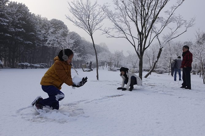 Elysian Gangchon Ski Resort With Nami Island Day Tour From Seoul - Common questions