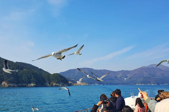 Enchanting Oedo Island Day Tour From Busan - Dining Experience on Oedo Island