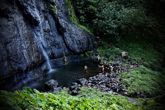 Enjoy Moorea Day Tour - Local Activities and Lunch