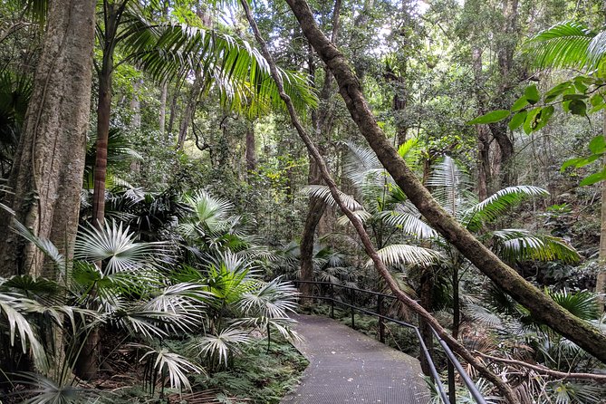 Erupting Blowholes and Ancient Rainforests SOUTH COAST OF SYDNEY PRIVATE TOUR - Last Words