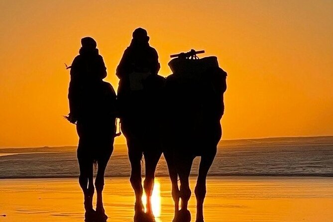 Essaouira 1 Hour Private Camel Ride - Last Words