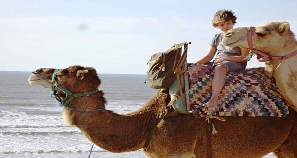 Essaouira: 2-Hour Camel Ride - Additional Information