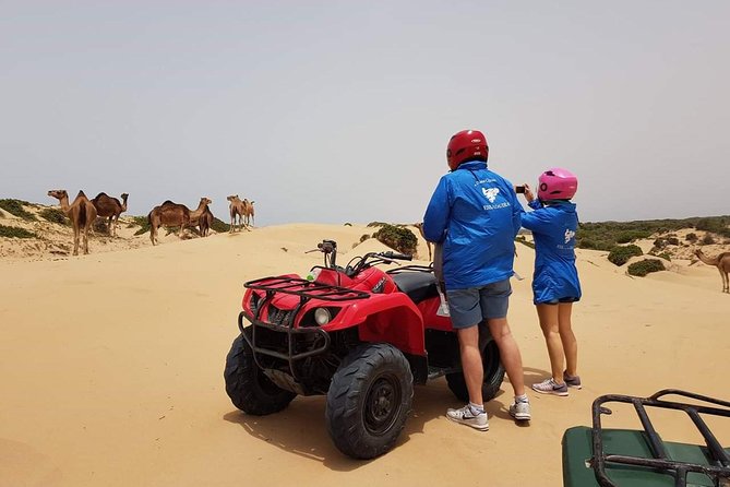 Essaouira: 2h/Quad1h/Camel Ride Minimum 2 People - Traveler Photos