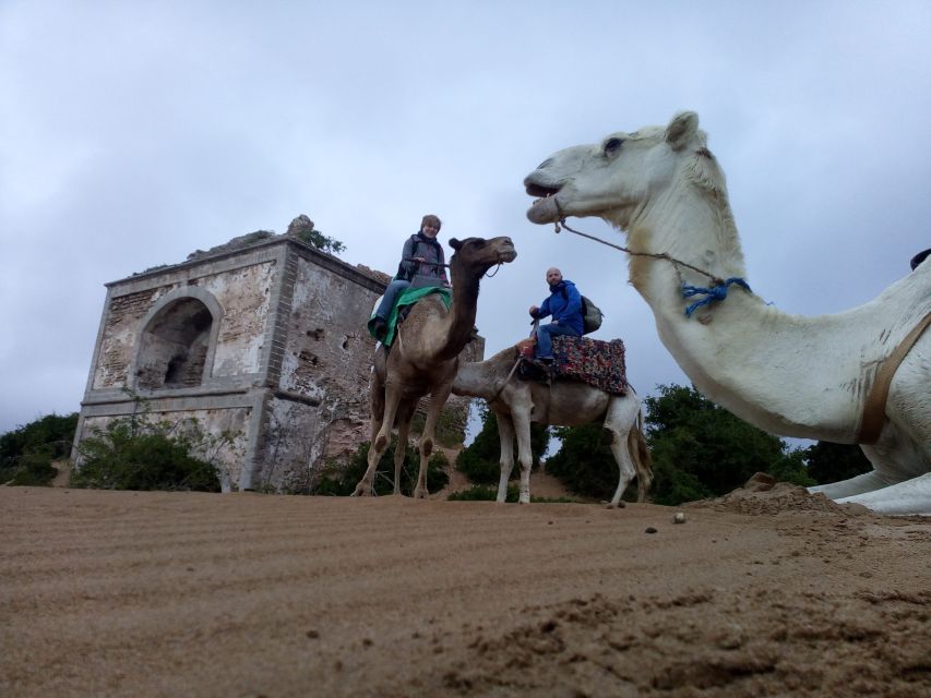 Essaouira: 3-Hour Dromedary Ride and Berber Tent Overnight - Directions