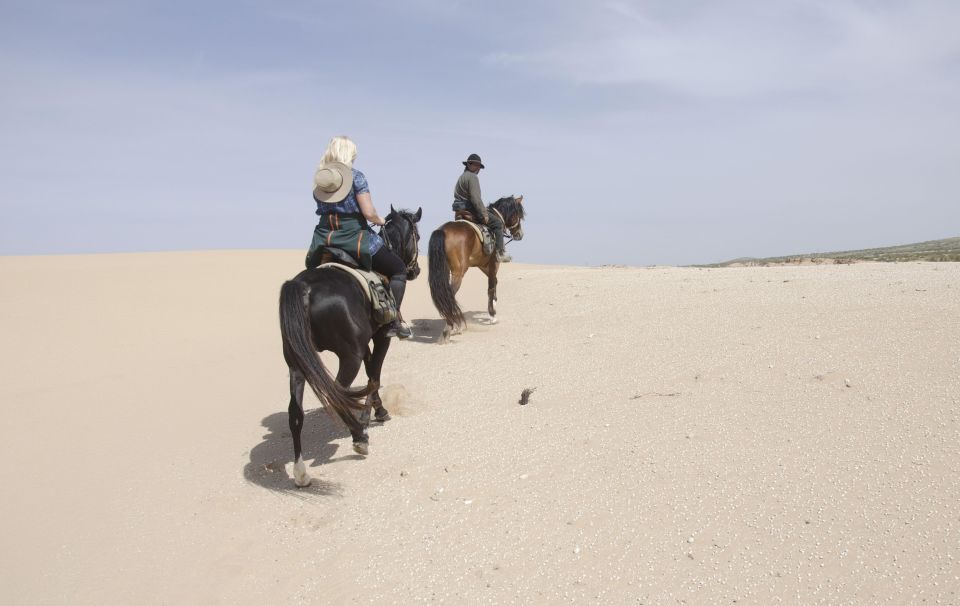 Essaouira: 3-Hour Horse Ride and Berber Tent Overnight - Common questions