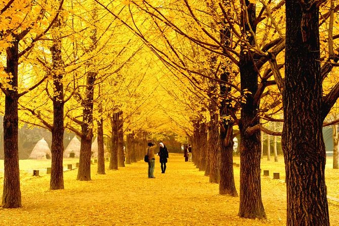 Essential Autumn Foliage of Korea 3 Days With Sorak and Odaesan Mountain - Tour Booking Information