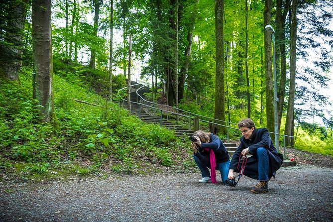 Essential Lucerne Photography Tour - Traveler Photos and Reviews