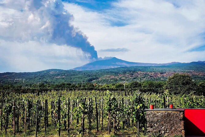 Etna Excursion and Wine Tasting With Sicilian Lunch - Booking and Pricing Information
