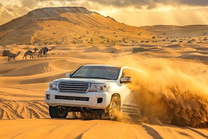 Evening Desert Safari Adventure in Dubai - Copyright and Terms Acknowledgment