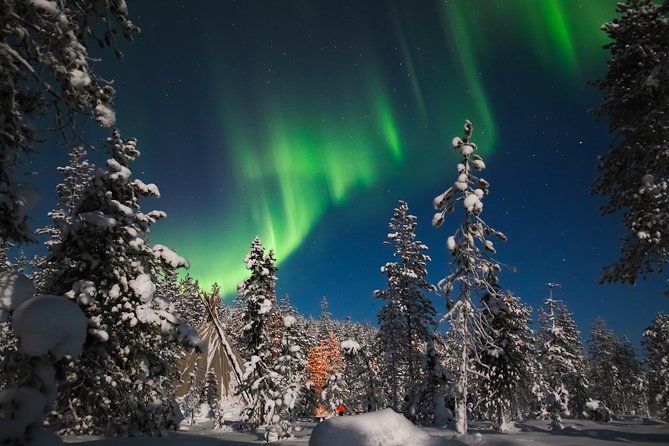 Evening Escape - Snowmobile Safari and Campfire in Rovaniemi - Traveler Photos