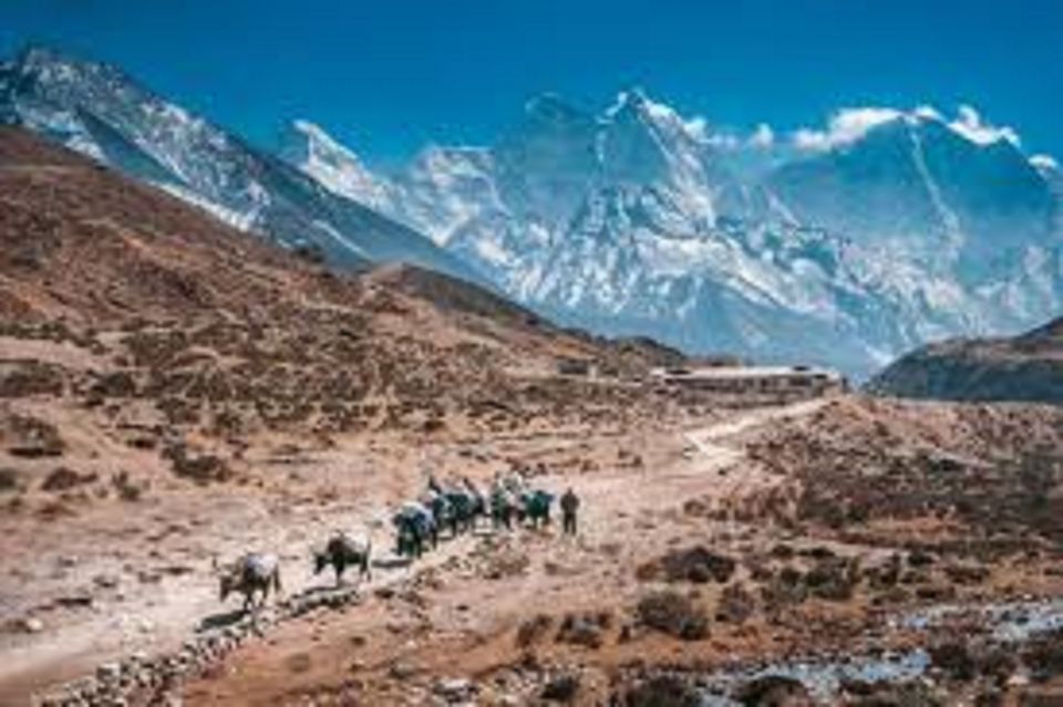 Everest Base Camp & Kala Pattar Trek - 15 Day - Rest Day in Dingboche