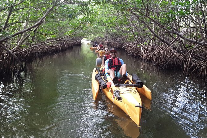 Everglades National Park Kayak/Learn to Sail Tour - Cancellation Policy