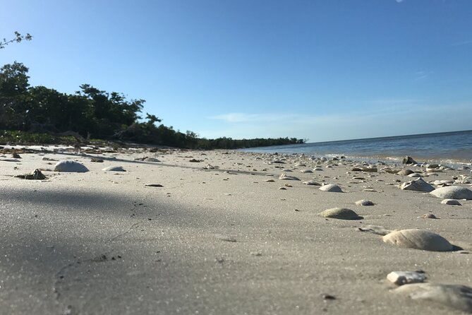 Everglades National Park Small Group Guided Boating and Walking Expedition - Booking Information