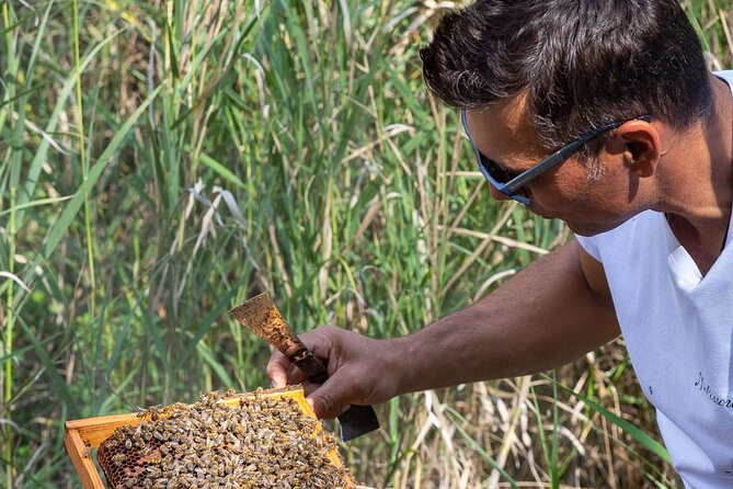 Evia Beekeeping Experience From a Local Beekeeper in Konistres - Common questions