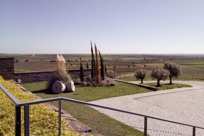 Évora - Inside the Olive Oil, Wine, and Cork Triangle (Private Tour) - Customer Reviews