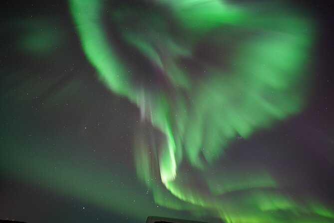 Exclusive Northern Lights Tour With PRO Photos, Home Cooked Meal - Customer Reviews