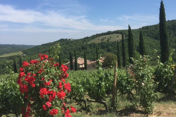 Exclusive Private Tour to Siena and San Gimignano - Reviews and Ratings Summary