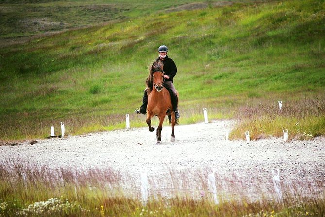 Exclusive Riding Program for Advanced Horse Riders - Give Me 5! - 2 to 3 Hours - Reviews and Ratings