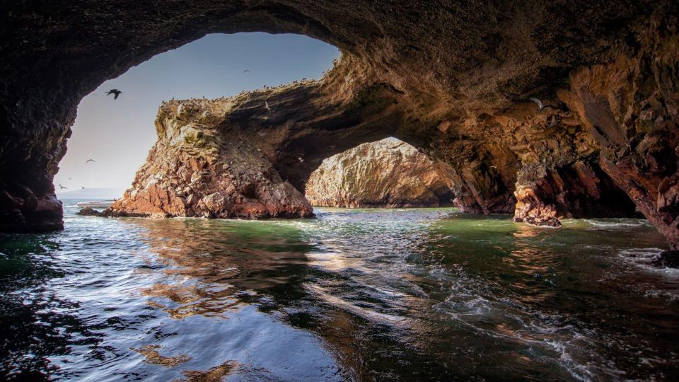 Excursion to Ballestas Islands and Paracas National Reserve - Inclusions