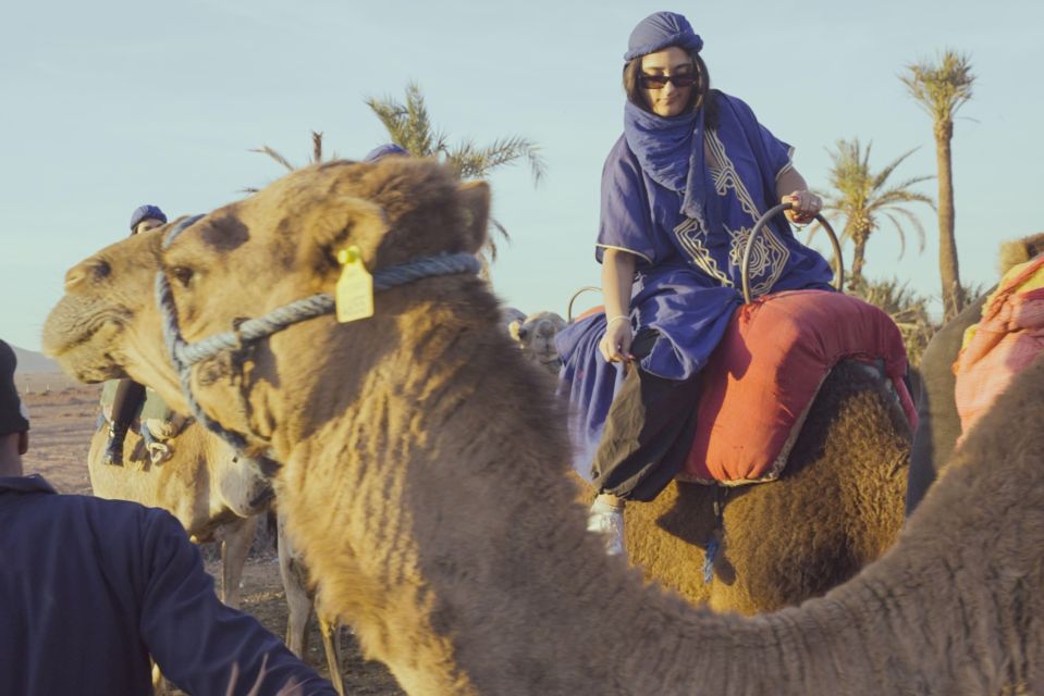 Experience a Camel Tour Through Palm Oasis and Jbilat Desert - Memorable Camel Ride Experience