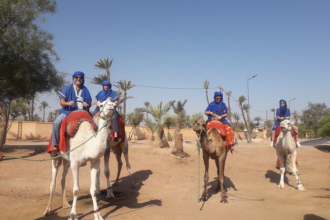 Experience Camel Ride Sunset or Anytime - Weather-Dependent Experience