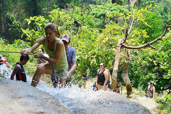 Experience Elephant Sanctuary Sticky Waterfall - Background