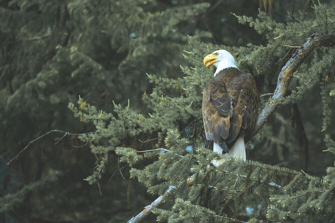 Explore and Learn the Natural Wonders of Summerland - Outdoor Photography Opportunities