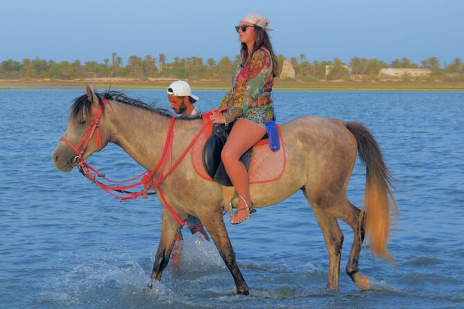 Explore Djerba With Our Four-Legged Friends - Activities for Pets on the Island