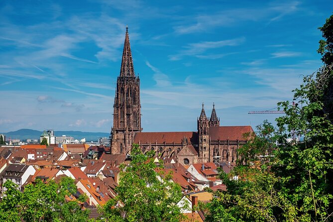 Explore Freiburg'S Art and Culture With a Local - Local Insights on Freiburgs Arts