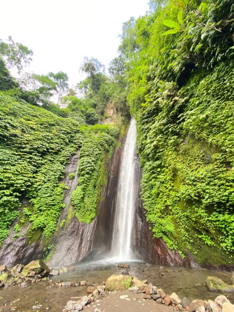 Explore Rice Terraces Munduk & Waterfall Trekking Experience - Common questions
