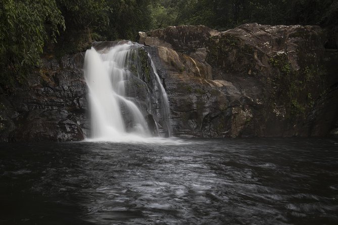 Explore Sinharaja Rainforest - Discovery Tour (Half Day) - Safety Guidelines and Additional Details