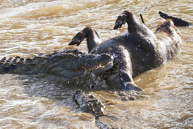 Explore The Beauty Of Udawalawe National Park From South Coast During 01 Day - Tour Duration and Itinerary Highlights