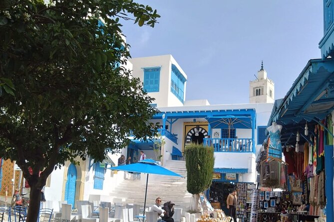 Exploring Tunis: Historic Medina and Charming Sidi Bou Said - Scenic Views and Landmarks