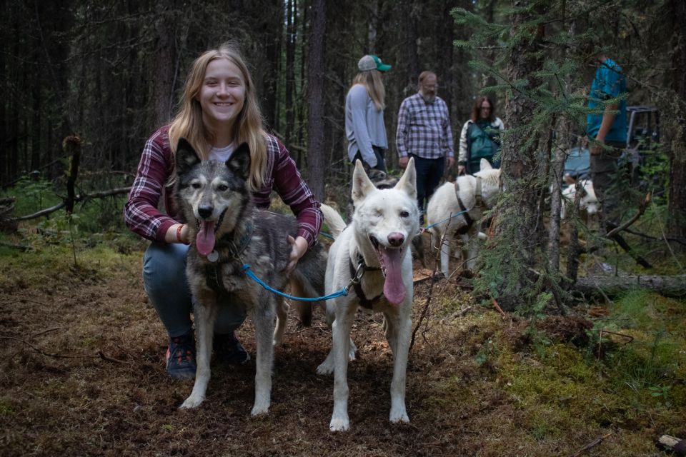 Fairbanks: Summer Mushing Cart Ride and Kennel Tour - Common questions