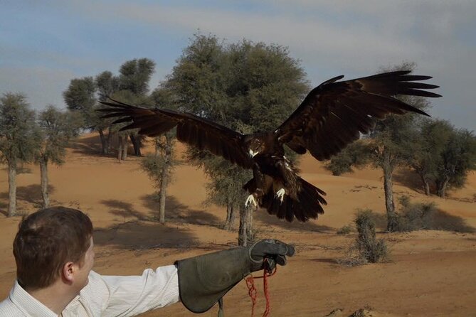 Falcon 1—Private Dubai Falconry Safari - Common questions