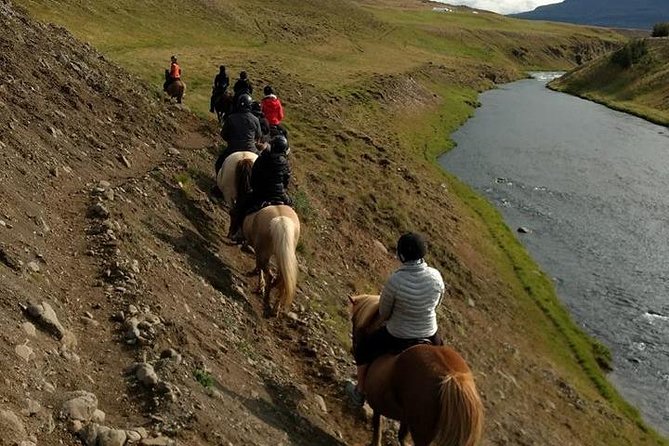 Family Friendly Horse Riding Tour in Skagafjörður - Gear and Equipment Included