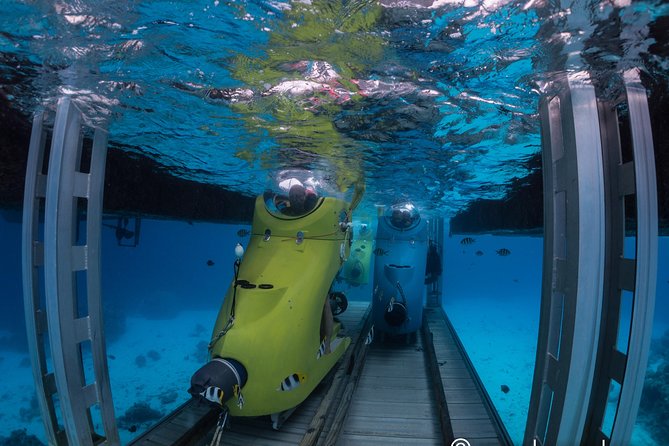 Family-Friendly Underwater Scooter Adventure via Speedboat  - Bora Bora - Last Words