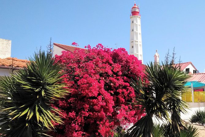 Faro - Ria Formosa Tour With Visit to 2 Islands (Deserta, Farol) 3.5 Hours - How to Get There