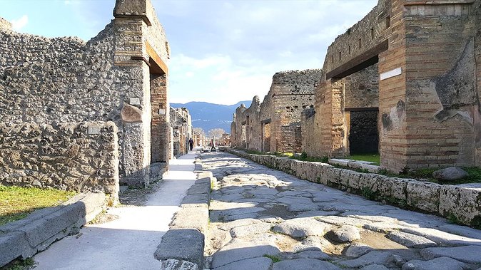 Fast Access Exclusive Private Ancient Pompeii Half Day Tour With Local Guide - Common questions