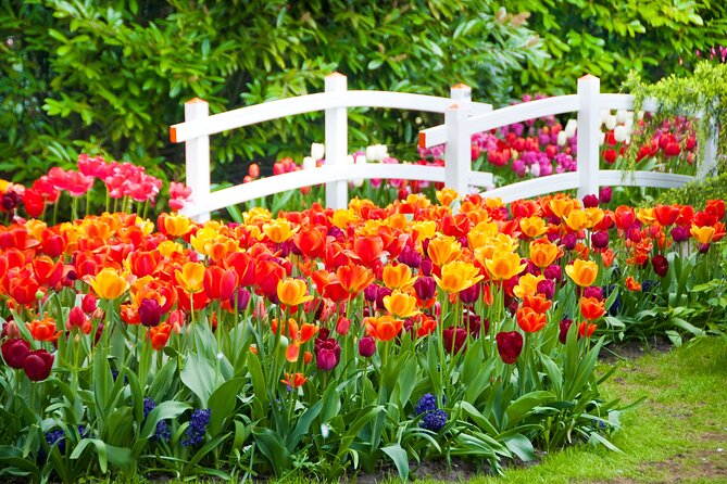 Fast Track Keukenhof Gardens From Amsterdam by Private Car - Pricing Structure