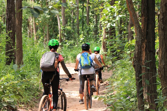 FIELDS OF GOLD Mountain Biking Tour Chiang Mai - Customer Reviews