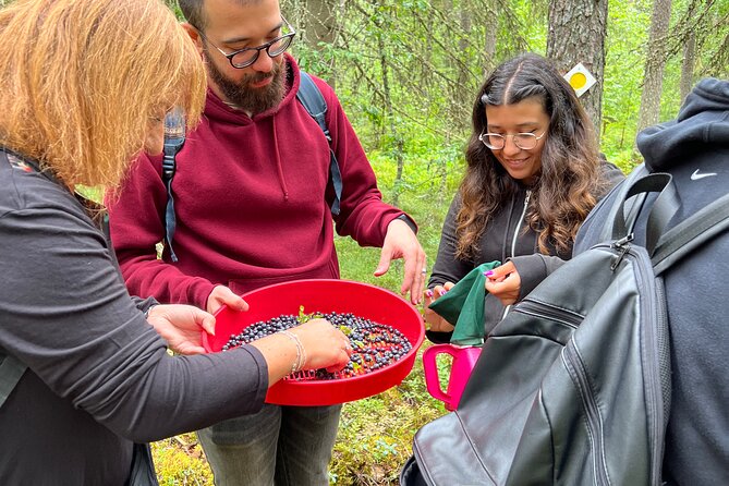 Finland Liesjarvi National Park Wild Berry Foraging Adventure (Mar ) - Sustainable Foraging Practices