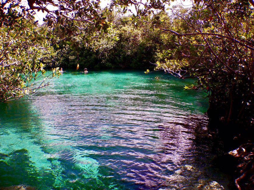 First Scuba Diving Experience in a Cenote - Location Details